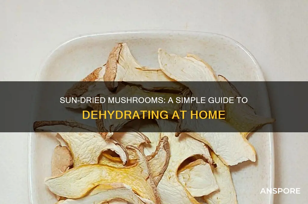 how to make sun dried mushrooms