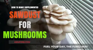 Crafting Supplemented Sawdust Substrates for Optimal Mushroom Cultivation