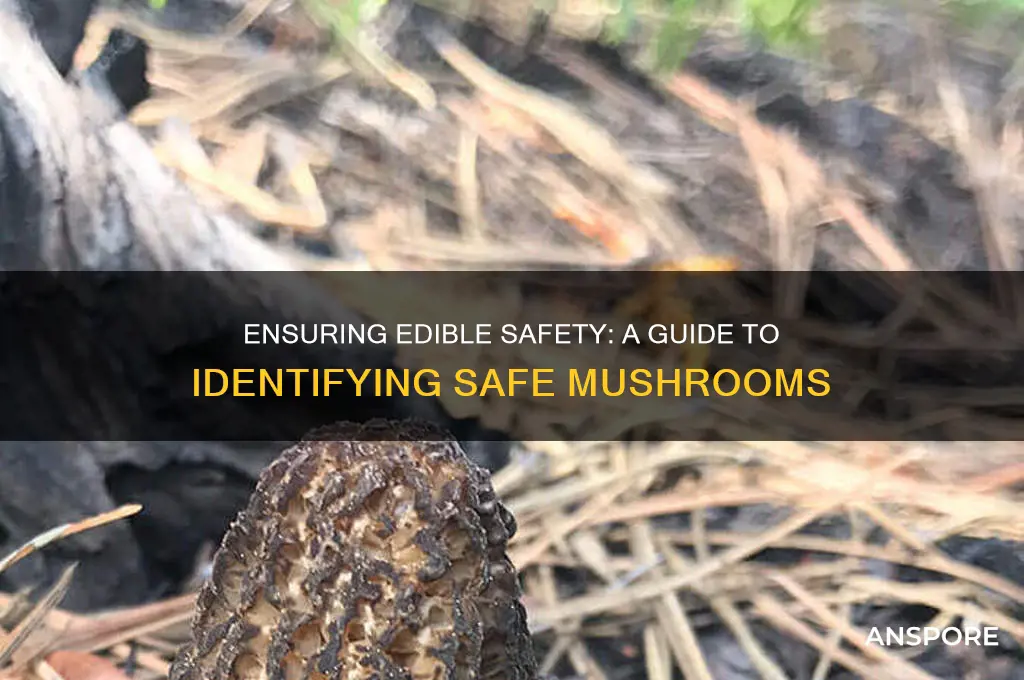how to make sure mushrooms are safe