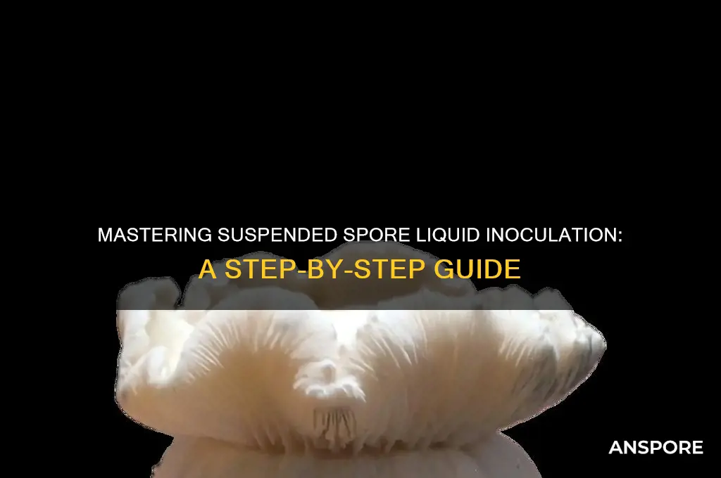 how to make suspended spore liquid inoculate