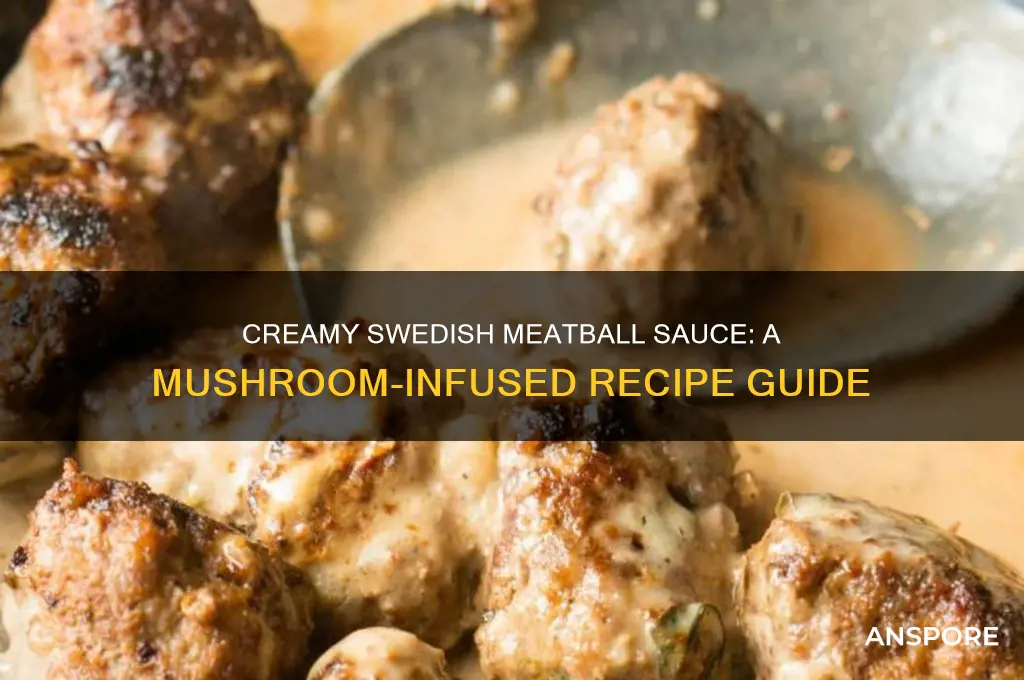 how to make swedish meatball sauce with cream of mushroom