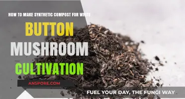 Crafting Synthetic Compost for Optimal White Button Mushroom Growth