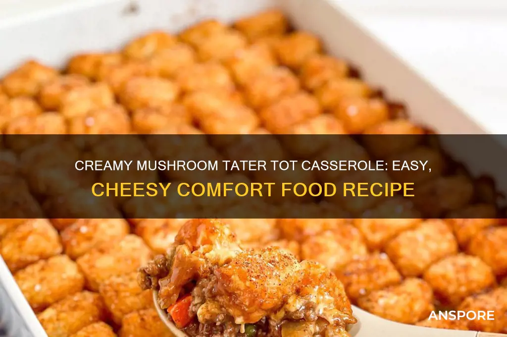 how to make tater tot casserole with cream of mushroom