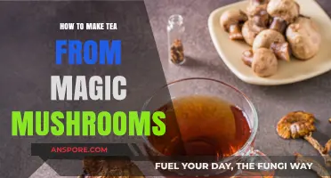 Brewing Psychedelic Tea: A Guide to Magic Mushroom Preparation
