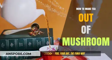 Brewing Wellness: A Guide to Making Mushroom Tea at Home