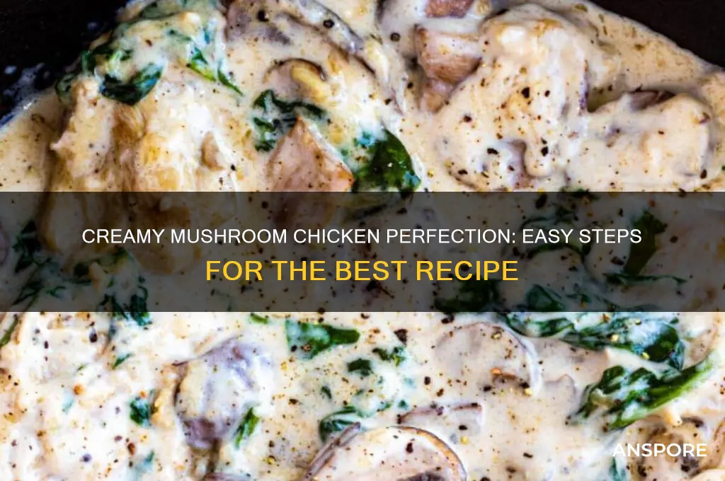 how to make the best cream of mushroom chicken