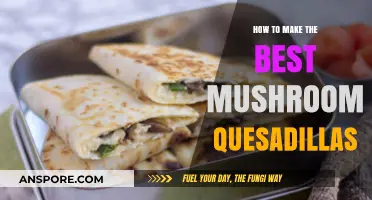 Perfect Mushroom Quesadillas: Easy Steps for Cheesy, Savory Bliss