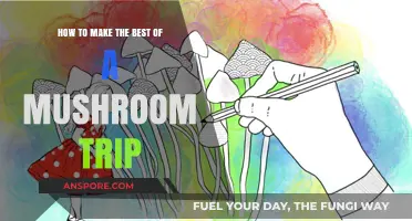 Maximize Your Mushroom Journey: Tips for a Transformative Psychedelic Experience