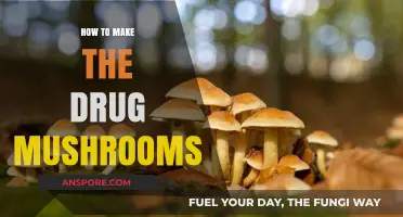 Cultivating Psilocybin Mushrooms: A Comprehensive Guide to Growing Safely