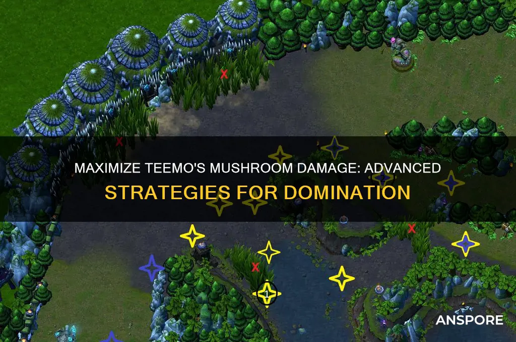 how to make the mushroom do most dmg teemo