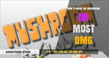 Maximize Mushroom Damage: Advanced Strategies for Dominant Gameplay