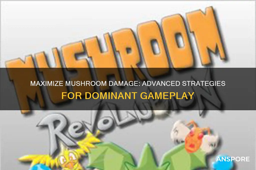 how to make the mushroom do most dmg