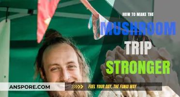 Enhance Your Mushroom Experience: Tips for a Stronger Psychedelic Trip