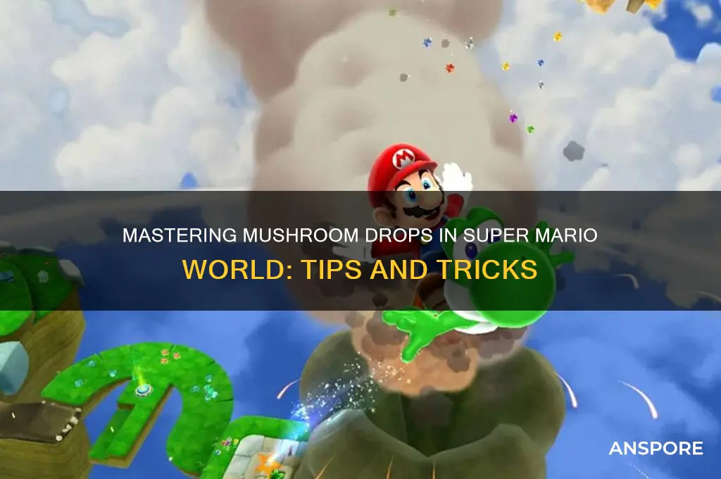 how to make thr mushroom drop in super mario world