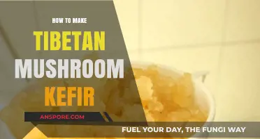 Mastering Tibetan Mushroom Kefir: A Step-by-Step Fermentation Guide