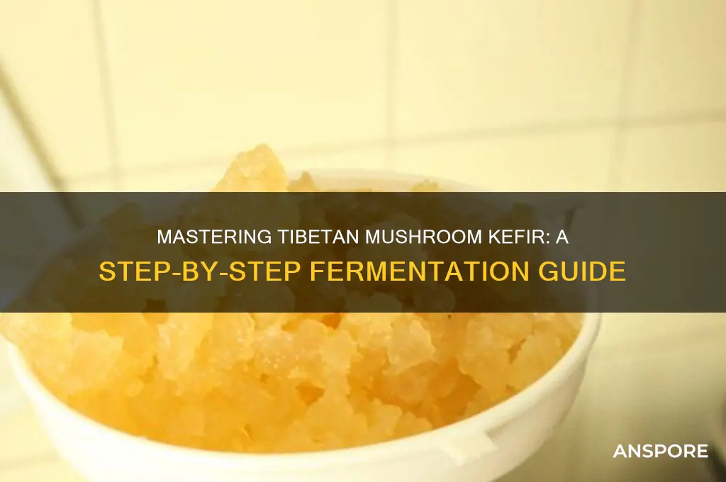 how to make tibetan mushroom kefir