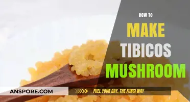 Brewing Probiotic Magic: A Simple Guide to Making Tibicos Mushroom