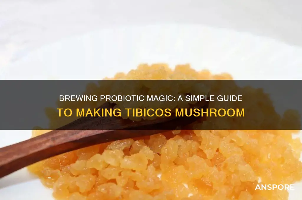 how to make tibicos mushroom
