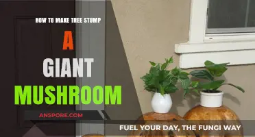 Transform Tree Stumps into Giant Mushrooms: A Creative DIY Guide