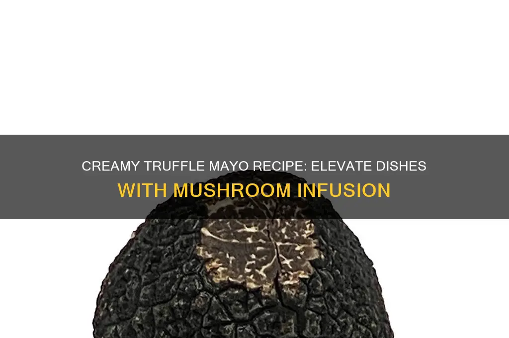 how to make truffle mayo with mushroom