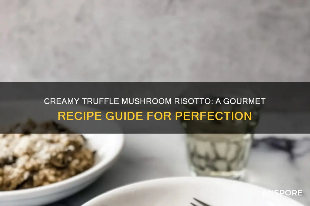 how to make truffle mushroom risotto