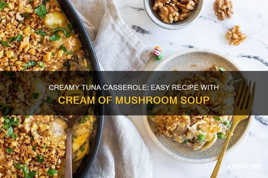 how to make tuna casserole with cream of mushroom soup