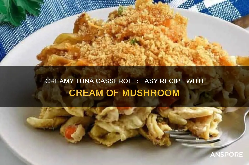 how to make tuna casserole with cream of mushroom