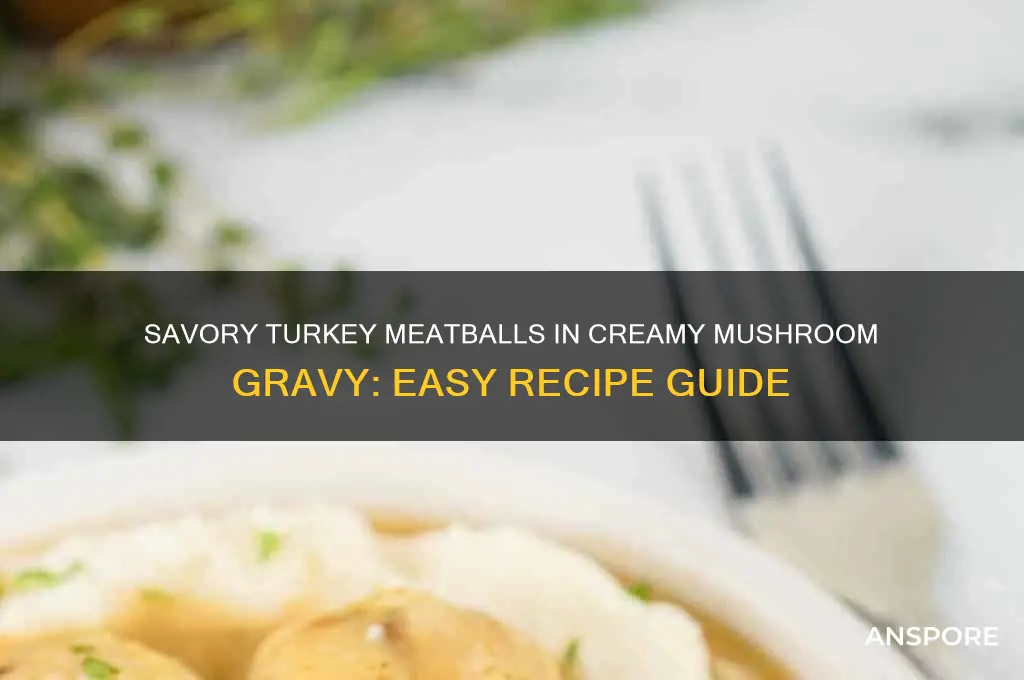 how to make turkey meatballs in mushroom gravy