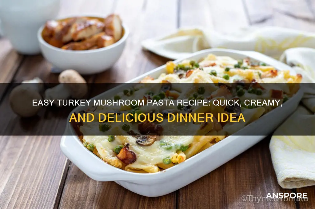 how to make turkey mushroom pasta