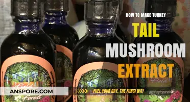 Crafting Turkey Tail Mushroom Extract: A Simple DIY Guide