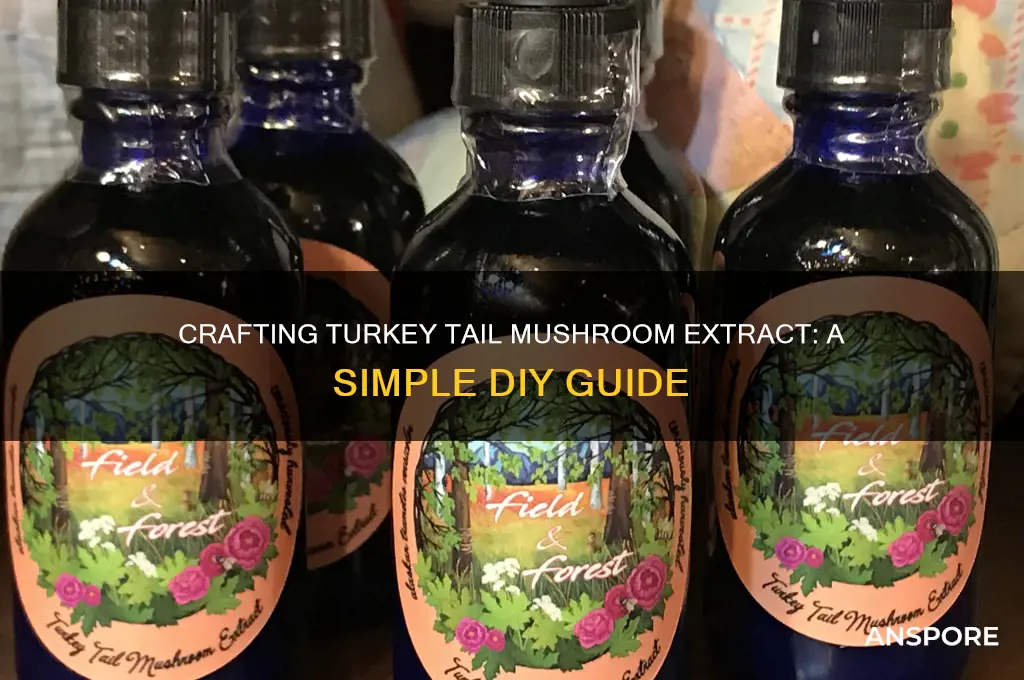 how to make turkey tail mushroom extract