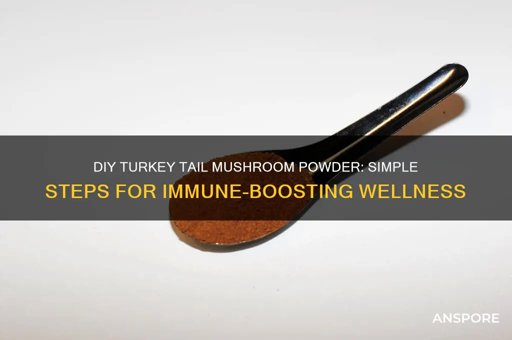how to make turkey tail mushroom powder