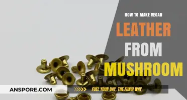 Crafting Eco-Friendly Mushroom Leather: A Vegan DIY Guide