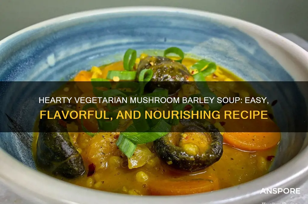 how to make vegetarian mushroom barley soup