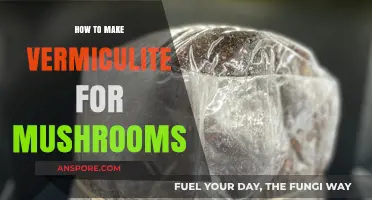 Mastering Vermiculite Preparation for Optimal Mushroom Cultivation Techniques