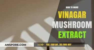 Crafting Vinegar Mushroom Extract: A Simple DIY Guide for Beginners