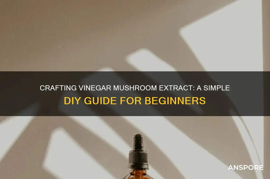 how to make vinagar mushroom extract