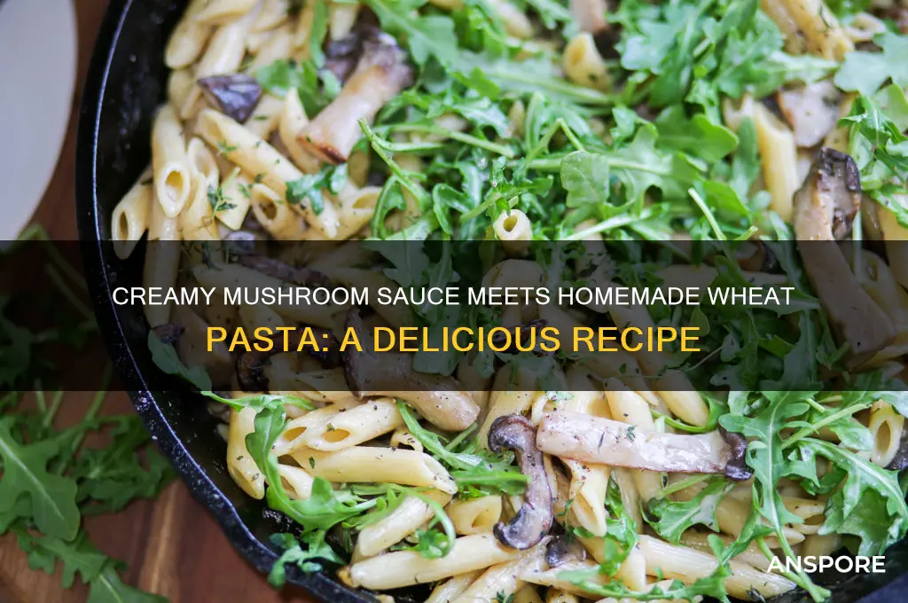 how to make wheat pasta in mushroom sauce