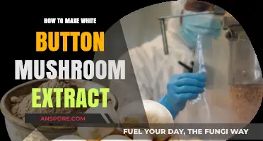 Crafting White Button Mushroom Extract: Simple Steps for Nutrient-Rich Elixir