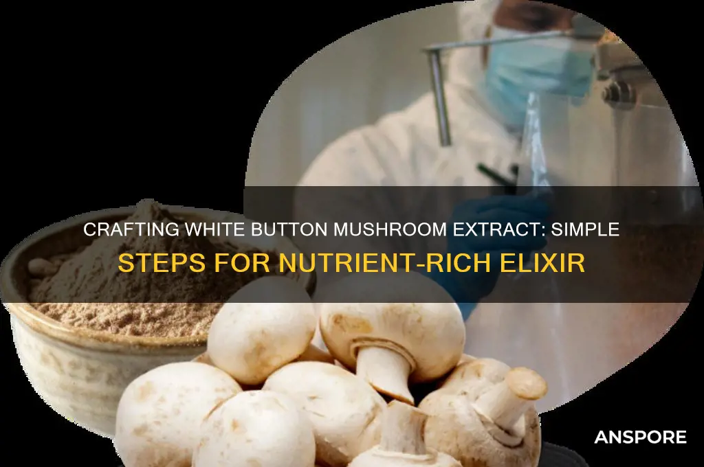 how to make white button mushroom extract