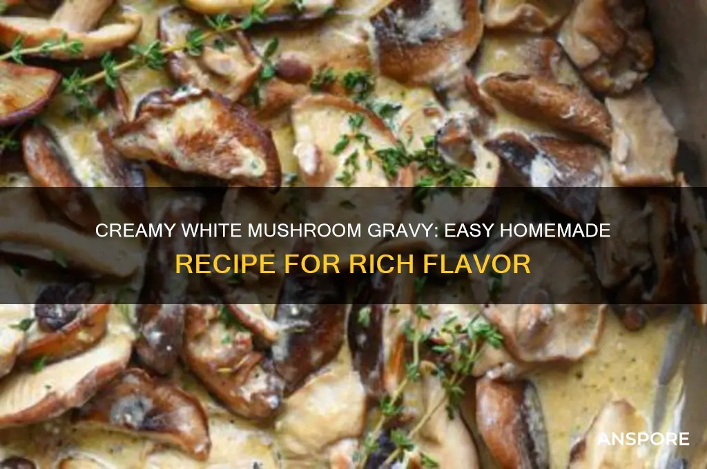 how to make white mushroom gravy