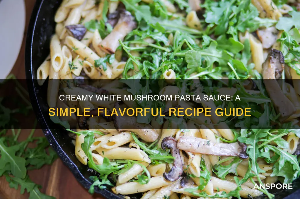 how to make white mushroom pasta sauce