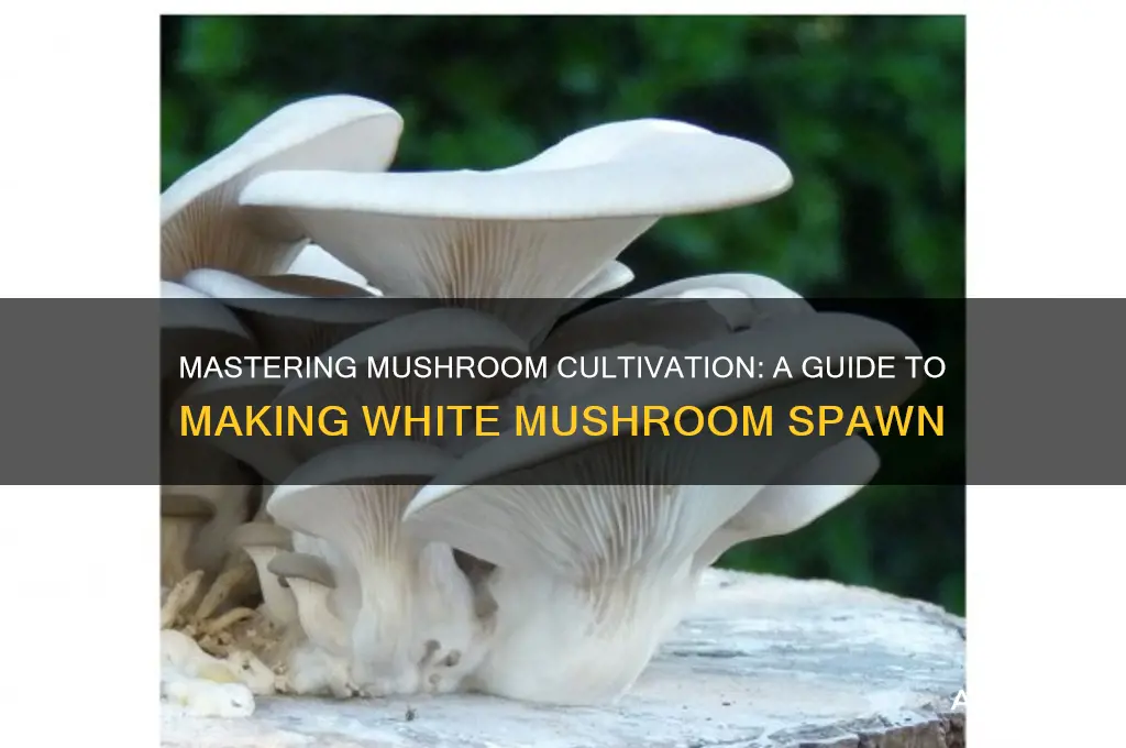 how to make white mushroom spawn