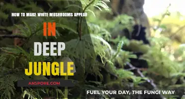 Cultivating White Mushrooms in Dense Jungle Environments: A Step-by-Step Guide