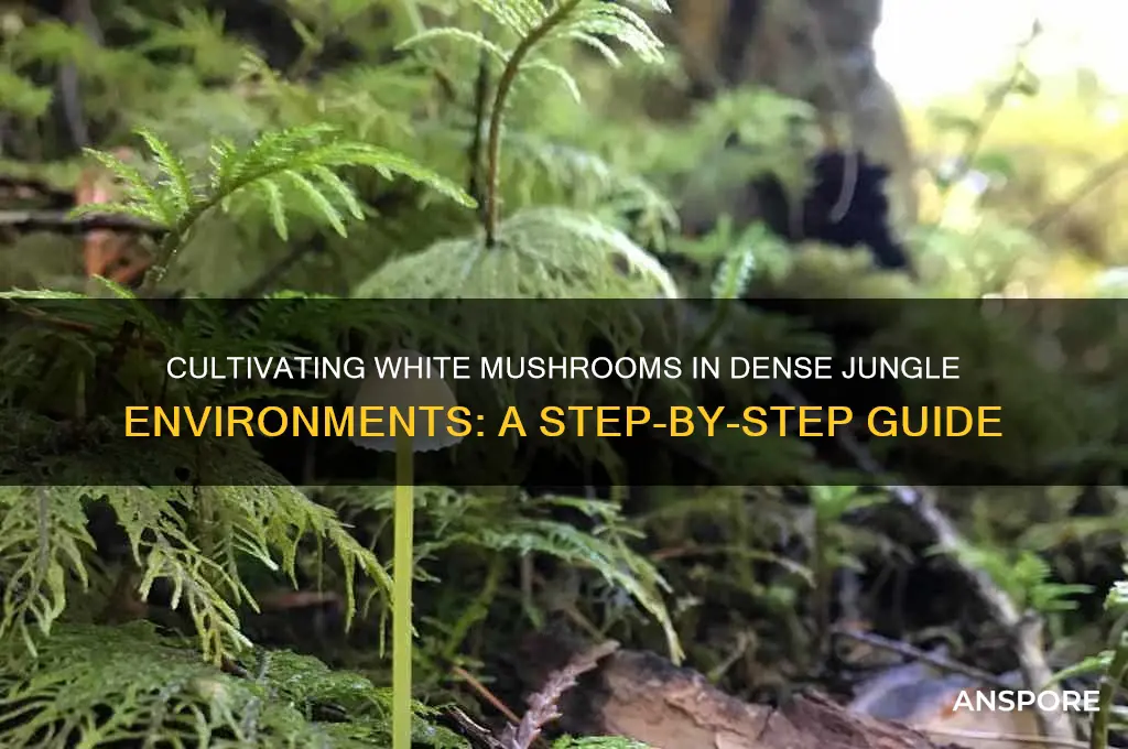 how to make white mushrooms appear in deep jungle
