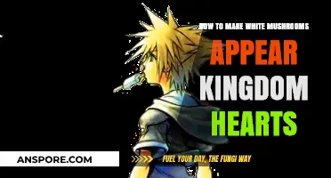 Crafting Kingdom Hearts-Inspired White Mushrooms: A Creative Culinary Guide