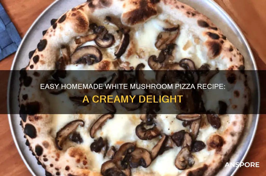 how to make white pizza mushroom at home
