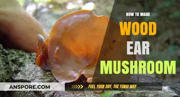 Mastering Wood Ear Mushroom Cultivation: Simple Steps for Delicious Results