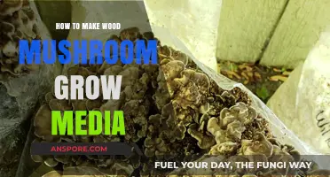 Crafting the Perfect Wood Mushroom Grow Media: A Step-by-Step Guide