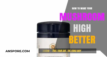 Enhance Your Mushroom Experience: Tips for a Better High
